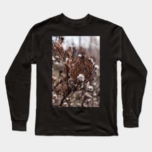 Isopogon Long Sleeve T-Shirt